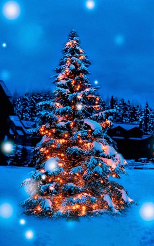 Beautiful Christmas Tree🎅