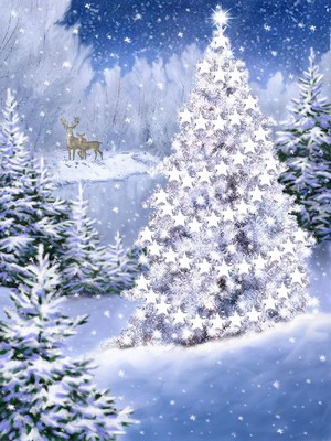  Beautiful Christmas Tree🎅