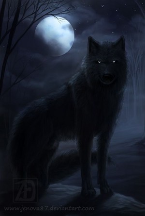  Black 狼