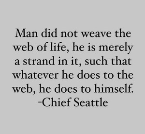  Chief Seattle | quote