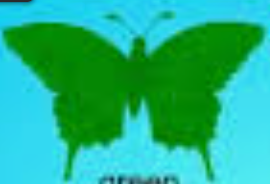  Green butterfly, kipepeo