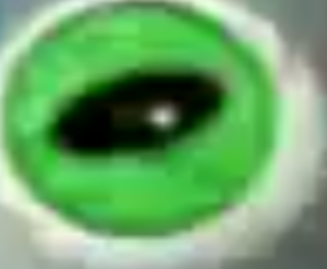  Green Eyeball