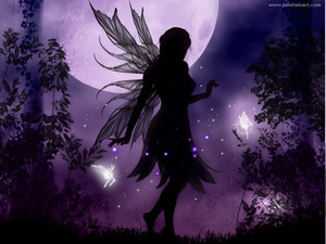  Moon Fairy 🌺