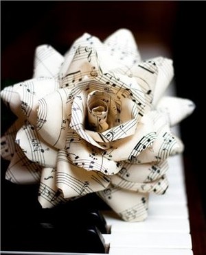Music rose