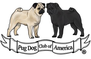  PUG DOG CLUB OF AMERICA