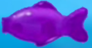  Purple مچھلی