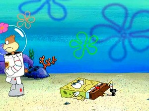  Sandy, SpongeBob, and the worm page 102