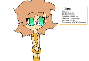  Sora, an OC I made out of spinning a wheel