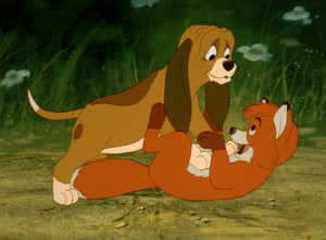  The fox & the Hound (1981)