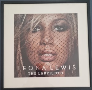  The Labyrinth signed album cover