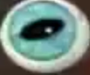 Turquoise Eyeball