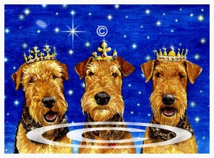  We Three Kings Airedale asong teryer pasko Cards