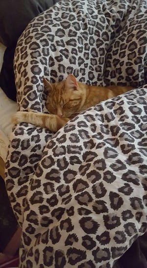he falls asleep under blanket