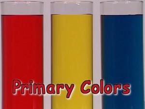  primary 색깔