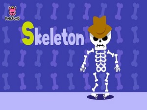  skeleton