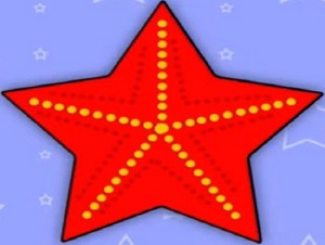  starfish