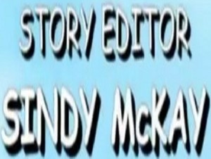 story editor