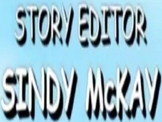story editor