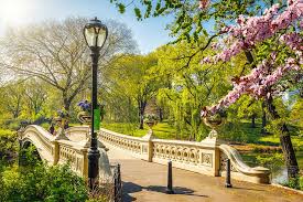  Central Park