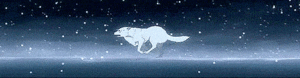  Animated chó sói, sói Banner