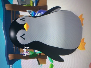  Black manchot, pingouin