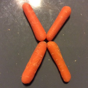  Carrot X