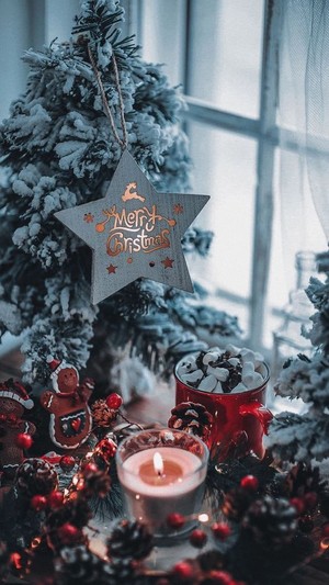 Christmas wishes for my chrispy winter cookie Caroline🎄🧑‍🎄🎁☃️🌟