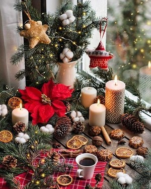  क्रिस्मस wishes for my chrispy winter cookie Caroline🎄🧑‍🎄🎁☃️🌟