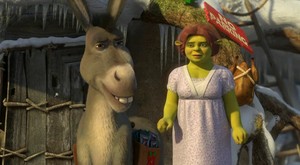Donkey and Fiona