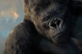  Kong