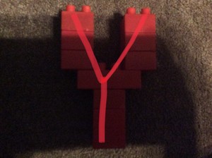  Lego Block Y