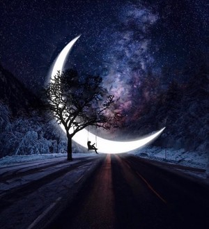  Midnight Moon