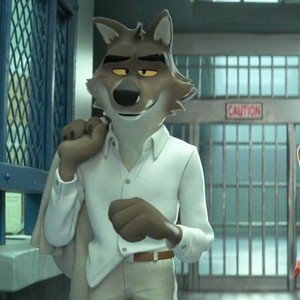 Mr. rubah, fox