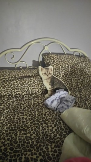  My paper cat on the 침대 :D