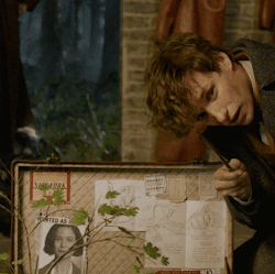  Newt/Tina Gif - The Crimes Of Grindelwald