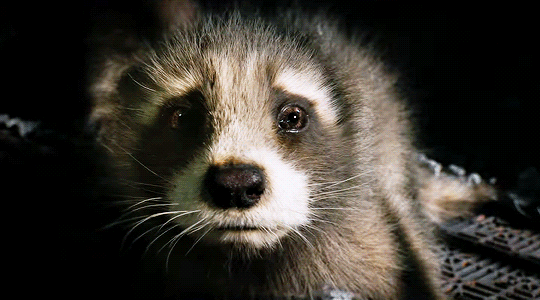 Rocket | Guardians of the Galaxy Vol. 3 | Official Trailer