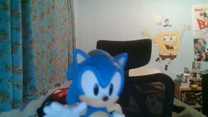  Sonic ran por to say hi