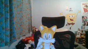  Tails came 由 to say hi
