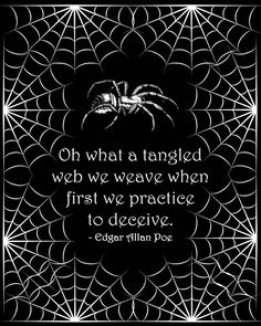  tangled Web
