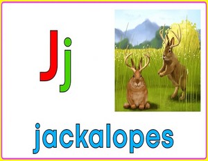  jackalopes