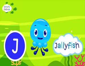  jallyfish