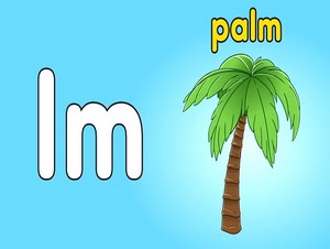  palm