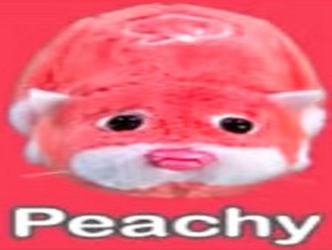 peachy