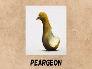  peargeon