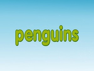  penguins