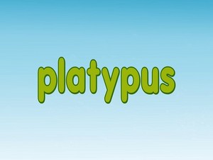  platypus