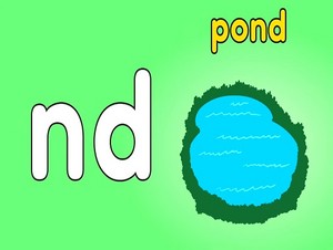  pond