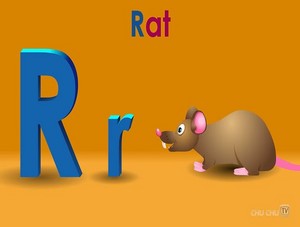 ratte