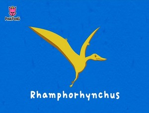  rhamphorhynchus