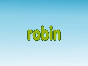  robin